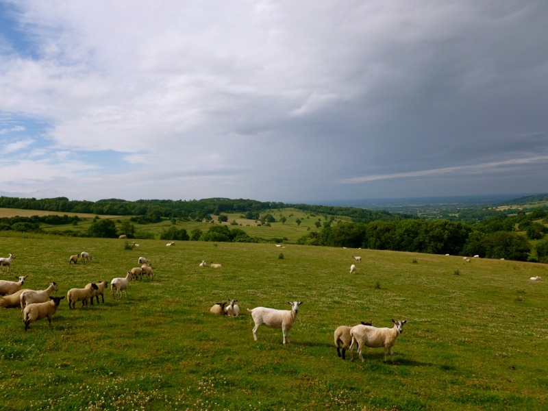 Pasture overlooking Snowshill.