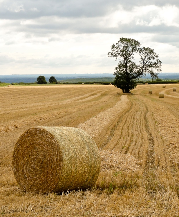 Clifton, South Yorkshire