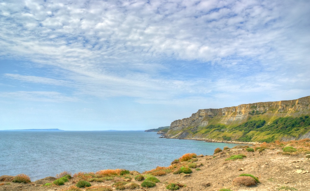 Photograph of Gad Cliff from Brandy Bay, Dorset