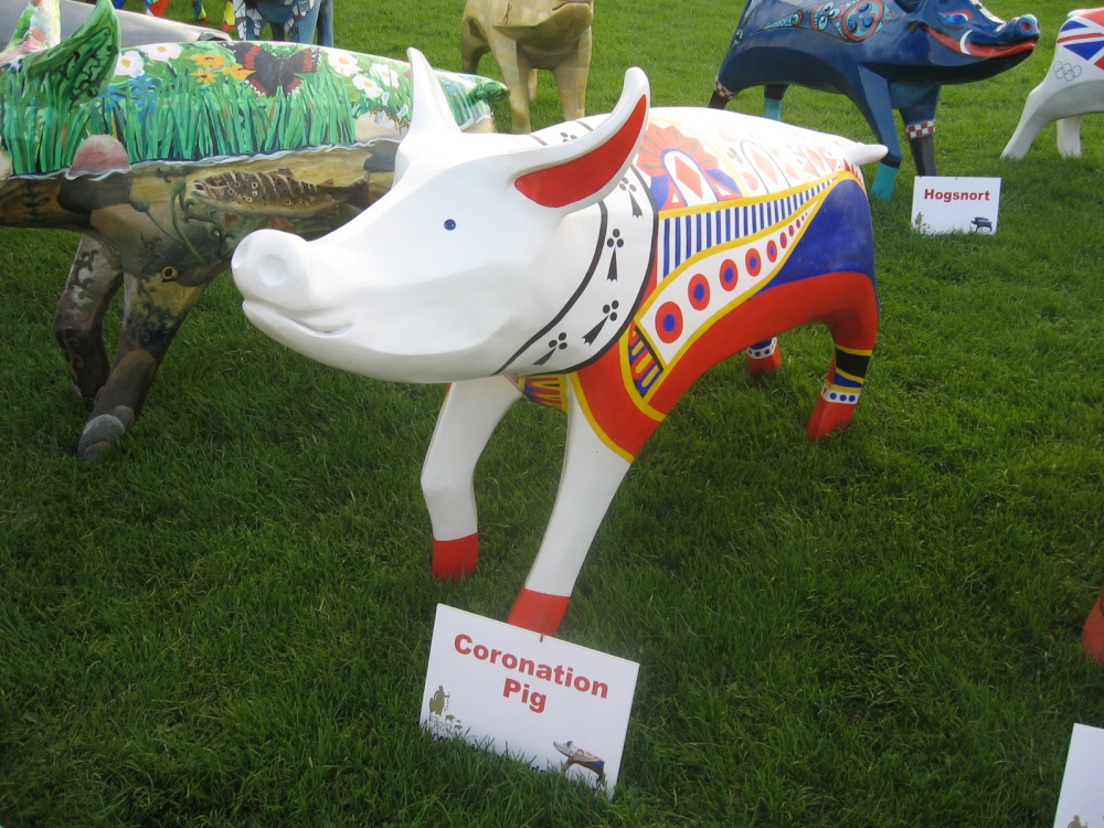 Coronation Pig