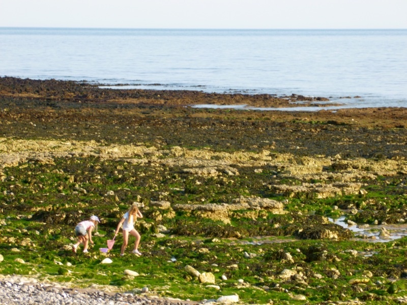 Children playing in the tidal flats of Beachy Head