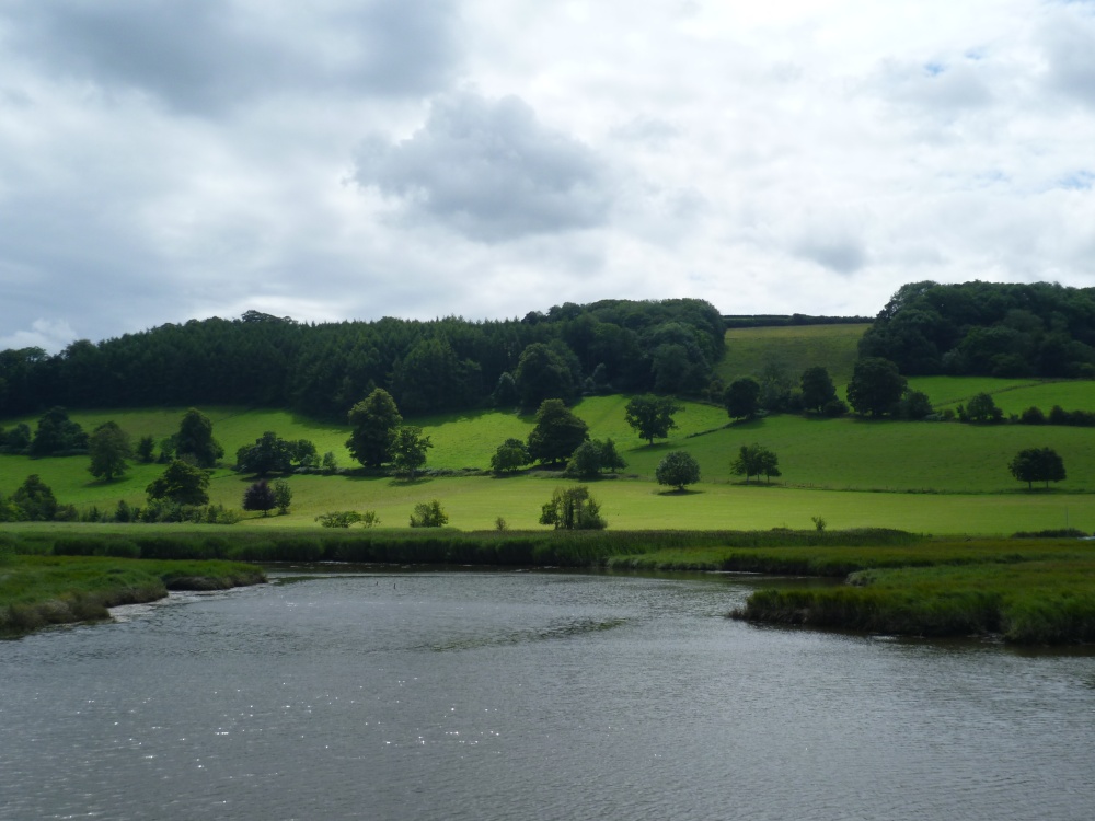 On the River Dart near Totnes.