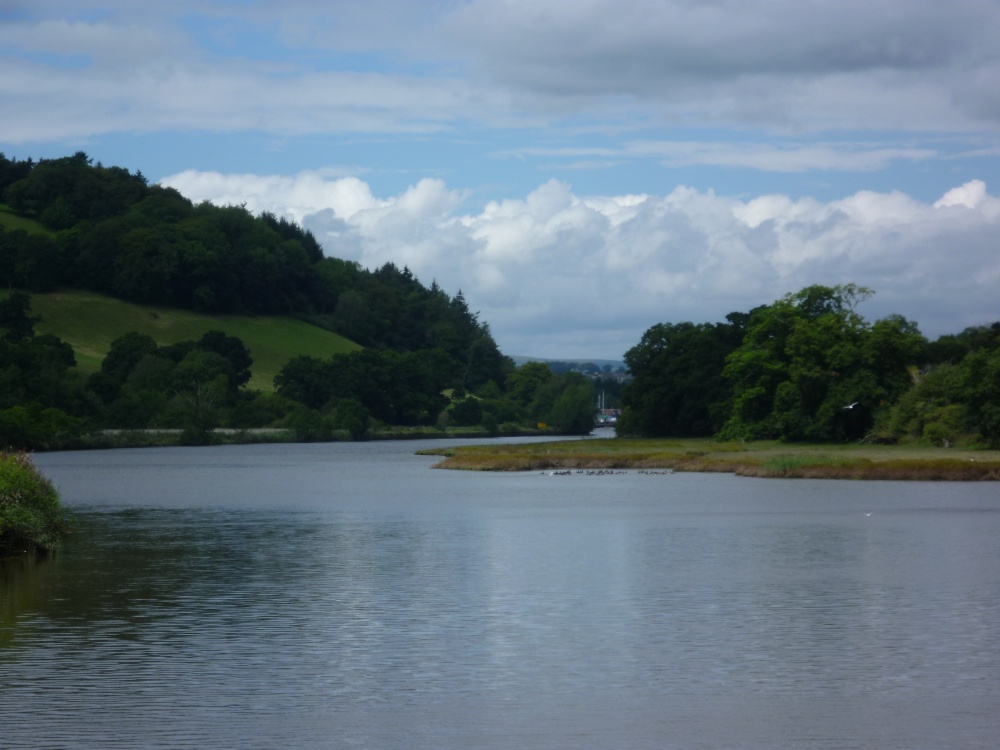 Photograph of On the River Dart, approaching Totnes.