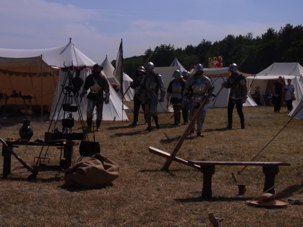 Battle weary, Bosworth photo by Karen Lee