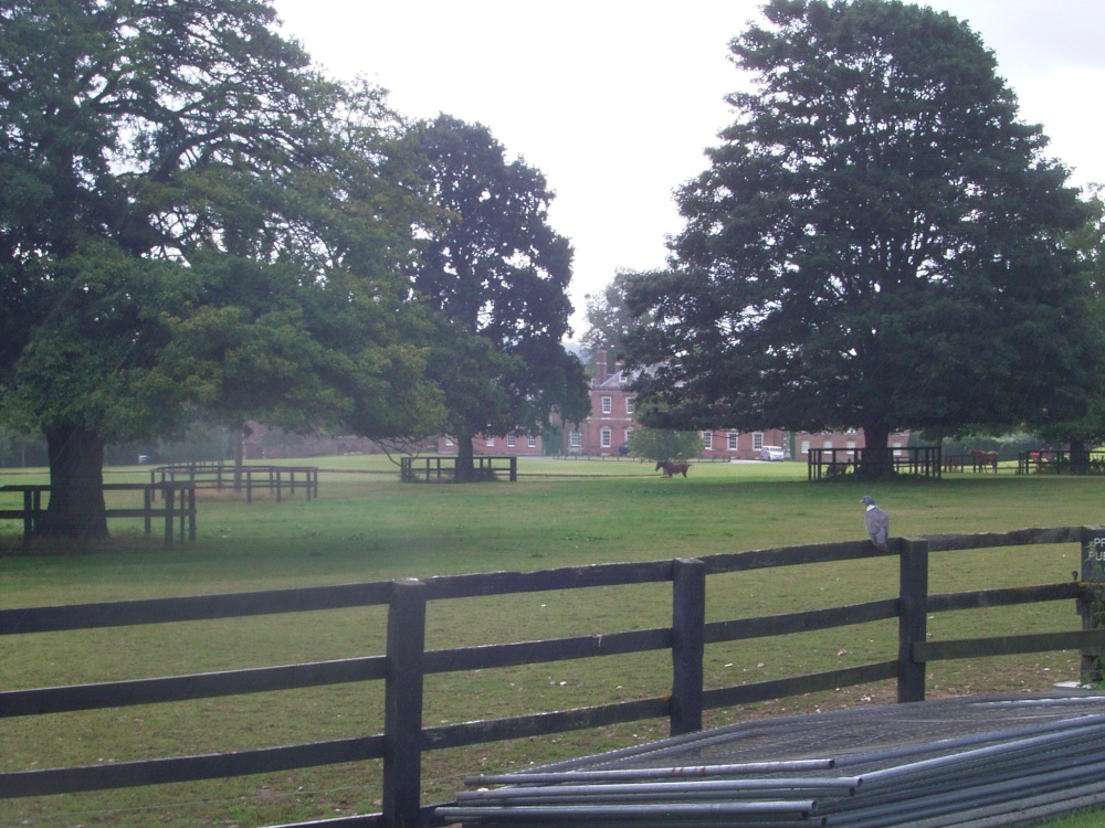 Photograph of Chilham King's Wood Tour