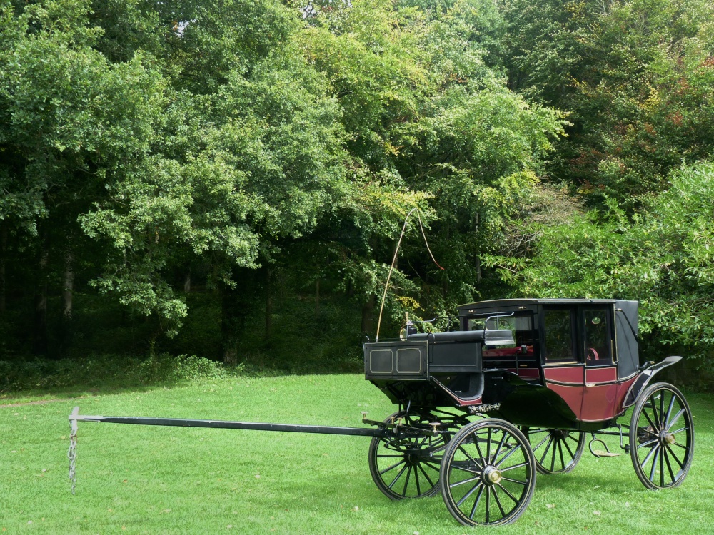 Where did the Horses Go Then?