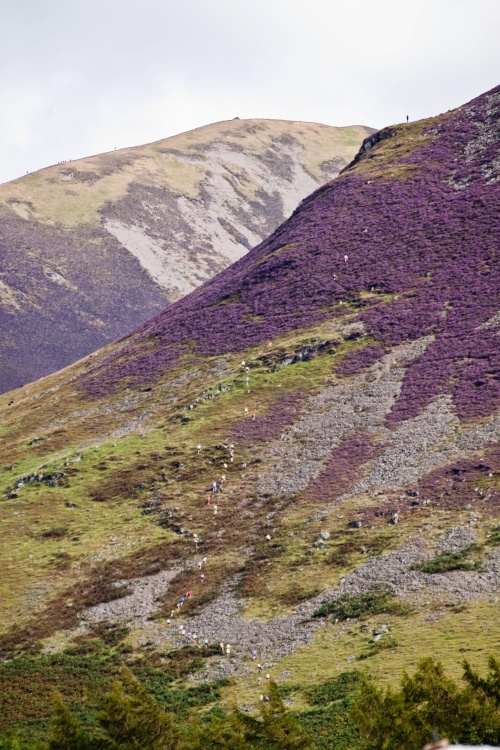 Loweswater Show Fell Race