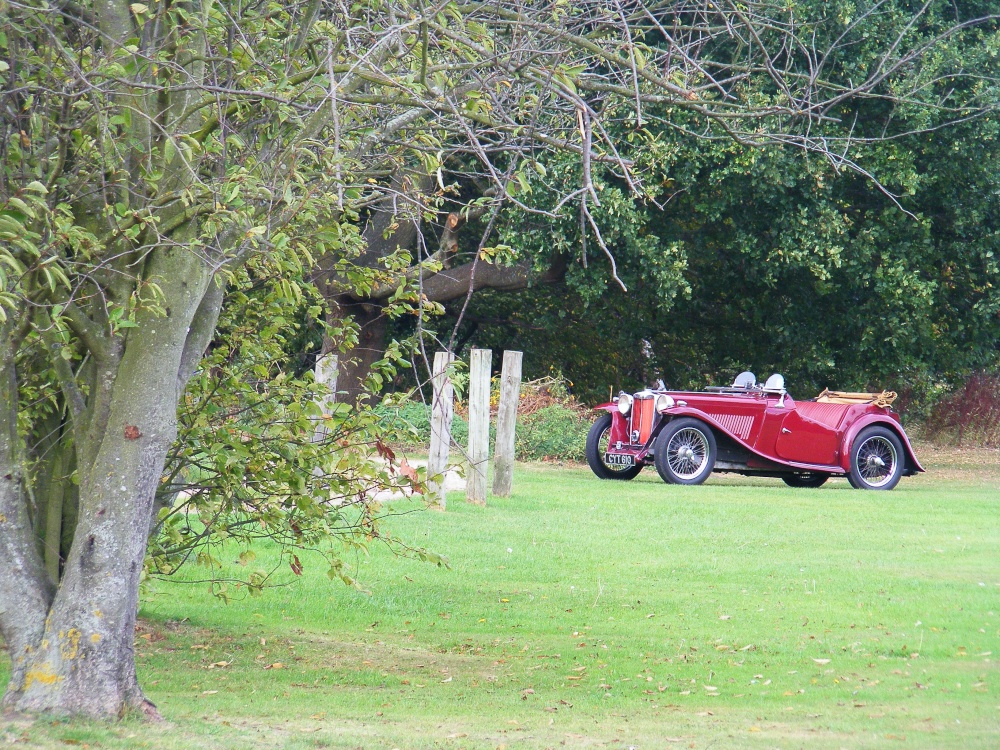 An Uncommon Sight On The Common