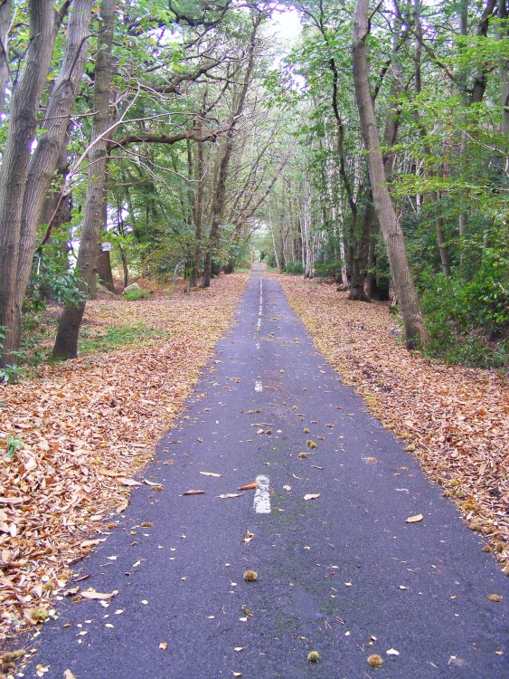 The Long and Straight Road