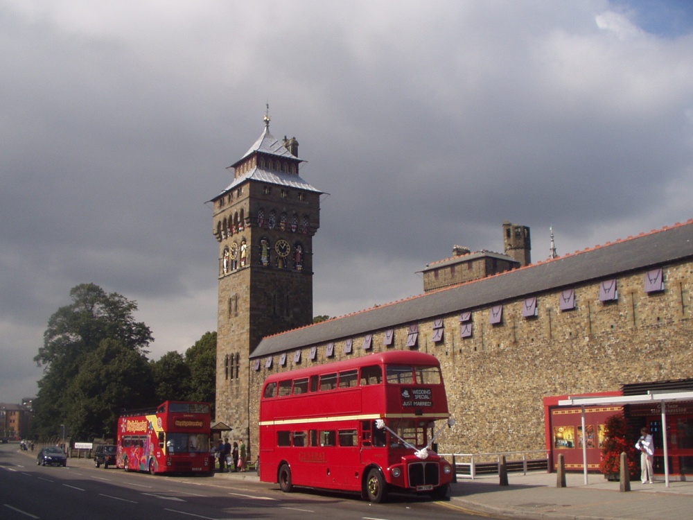 Castle and Buses photo by David Roberts