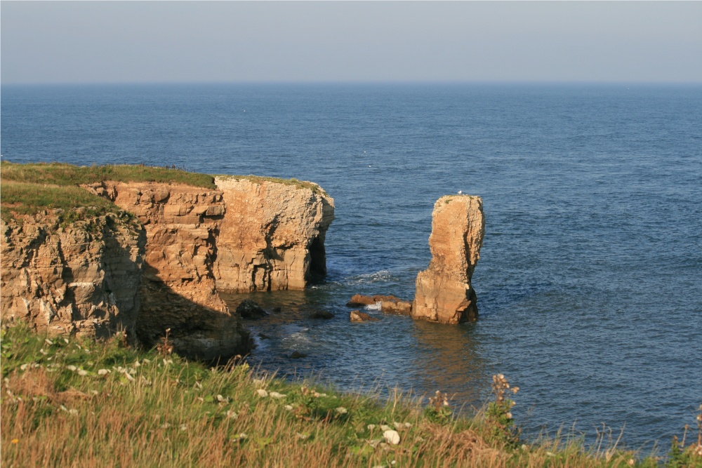 Rocks seen from the Coastal Path at Whitburn.