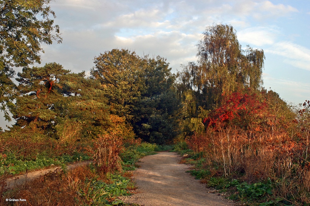 Stour Valley Autumn, Shillingstone.