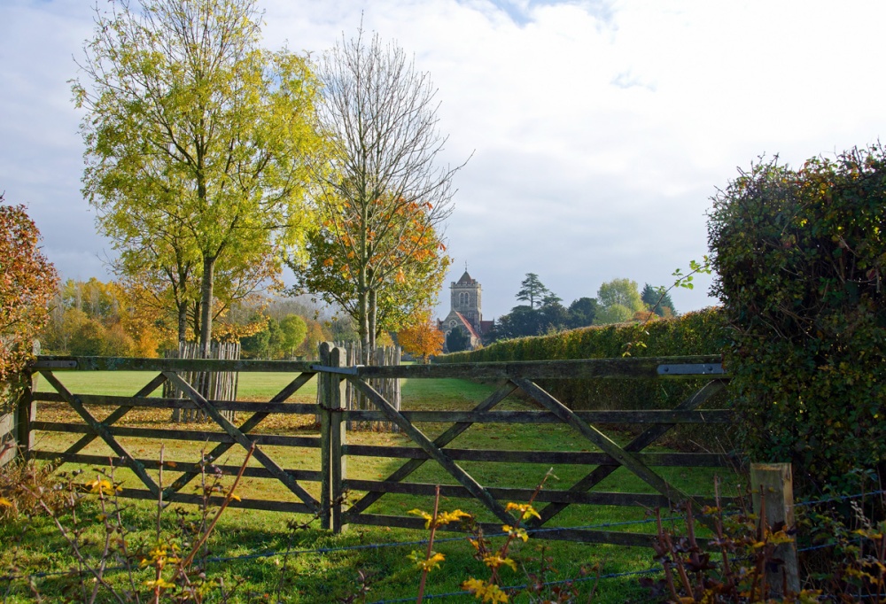 Photograph of Autumn