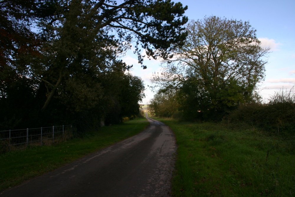 Country Lane