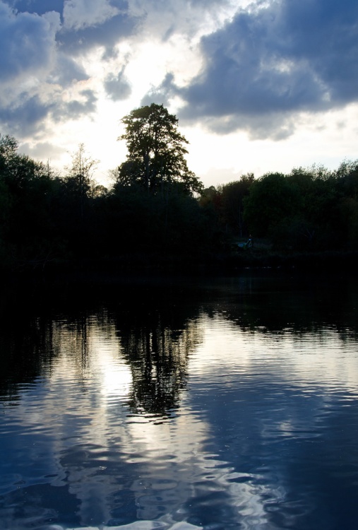 Mote Park reflections