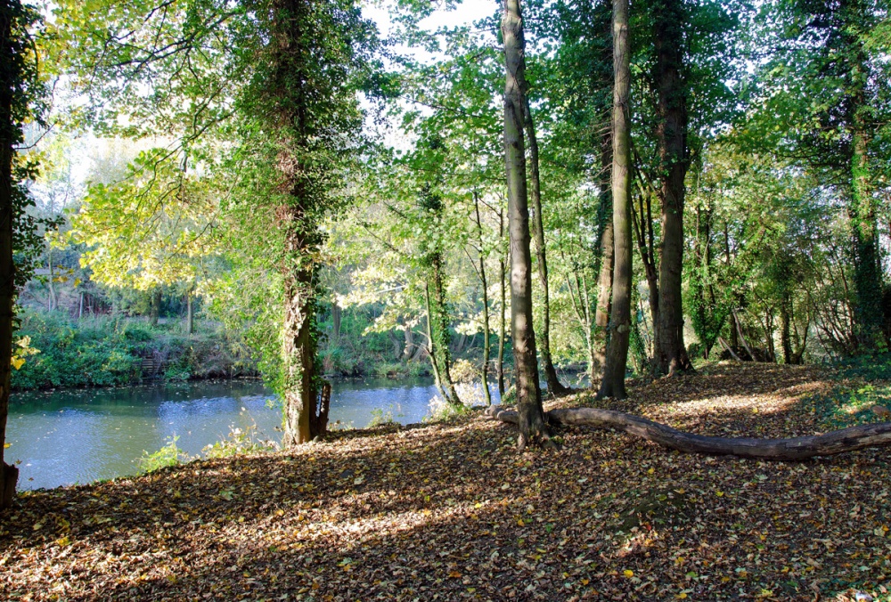 Riverside walk, Maidstone