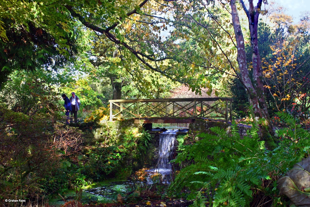 Minterne House and Gardens