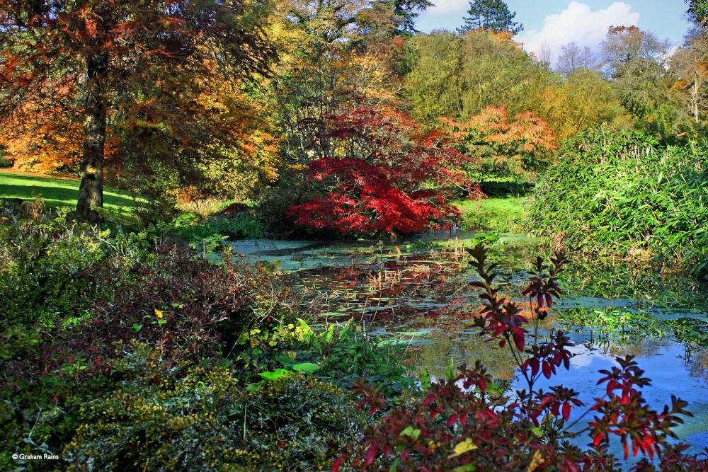 Minterne House and Gardens