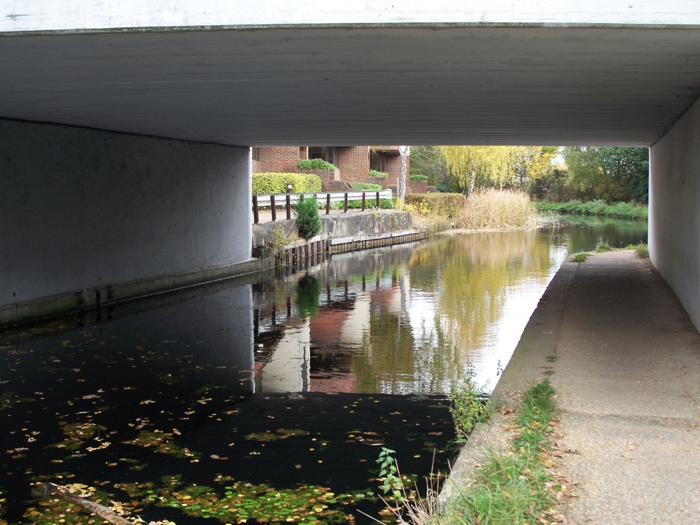 Photograph of Bridge scene