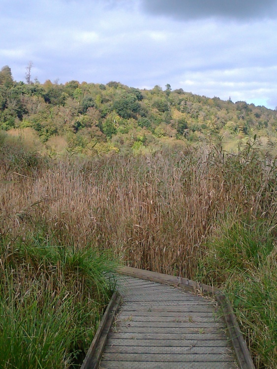 Arundel Wetlands