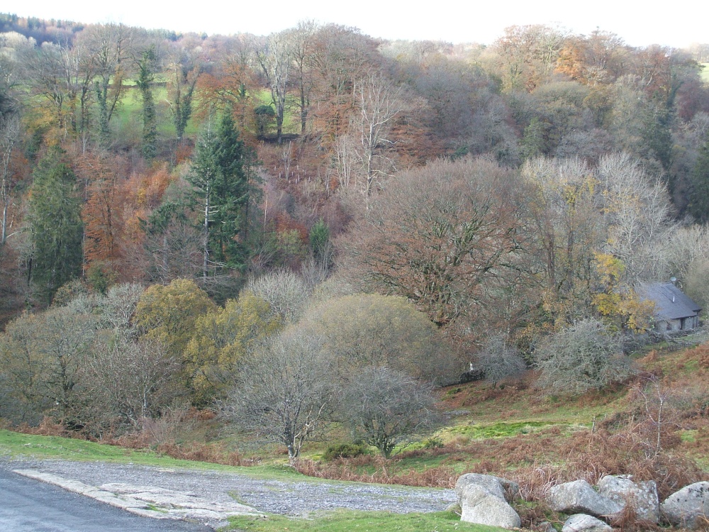 Photograph of Dartmeet in Autumn