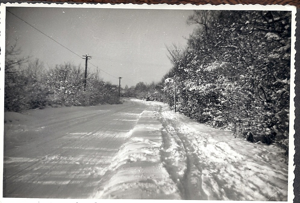 Photograph of Winter Snow in Bricket Wood nr St Albans.