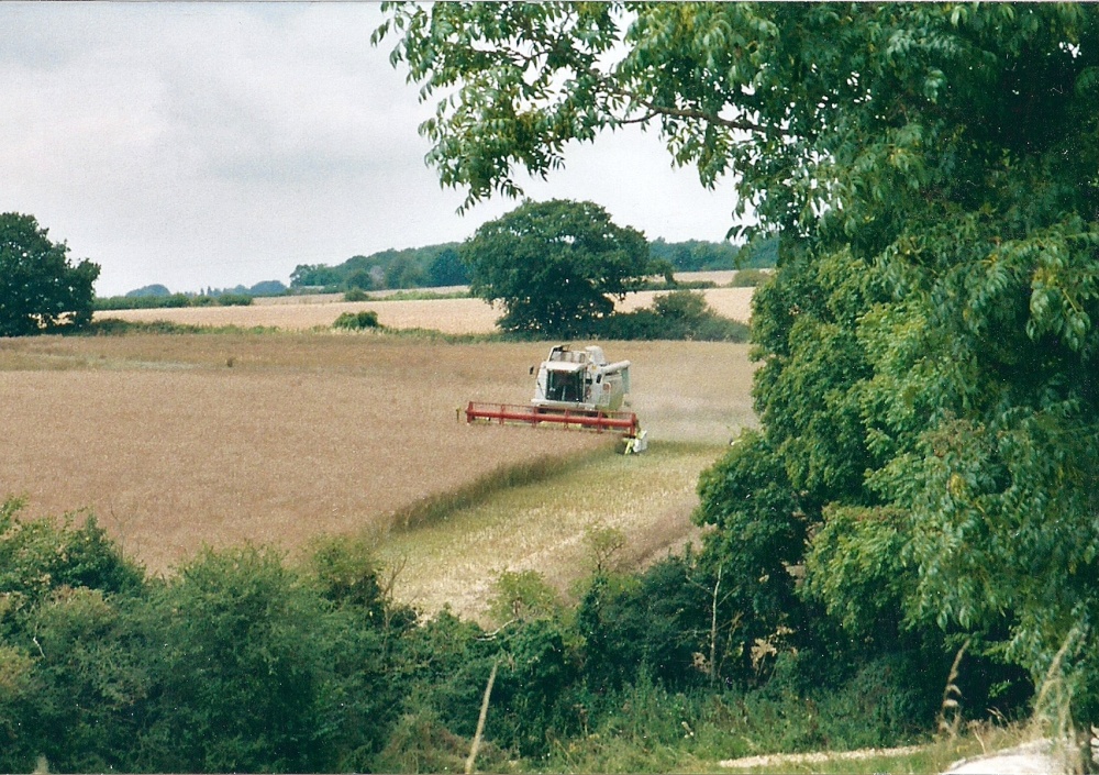 Photograph of Haymaking