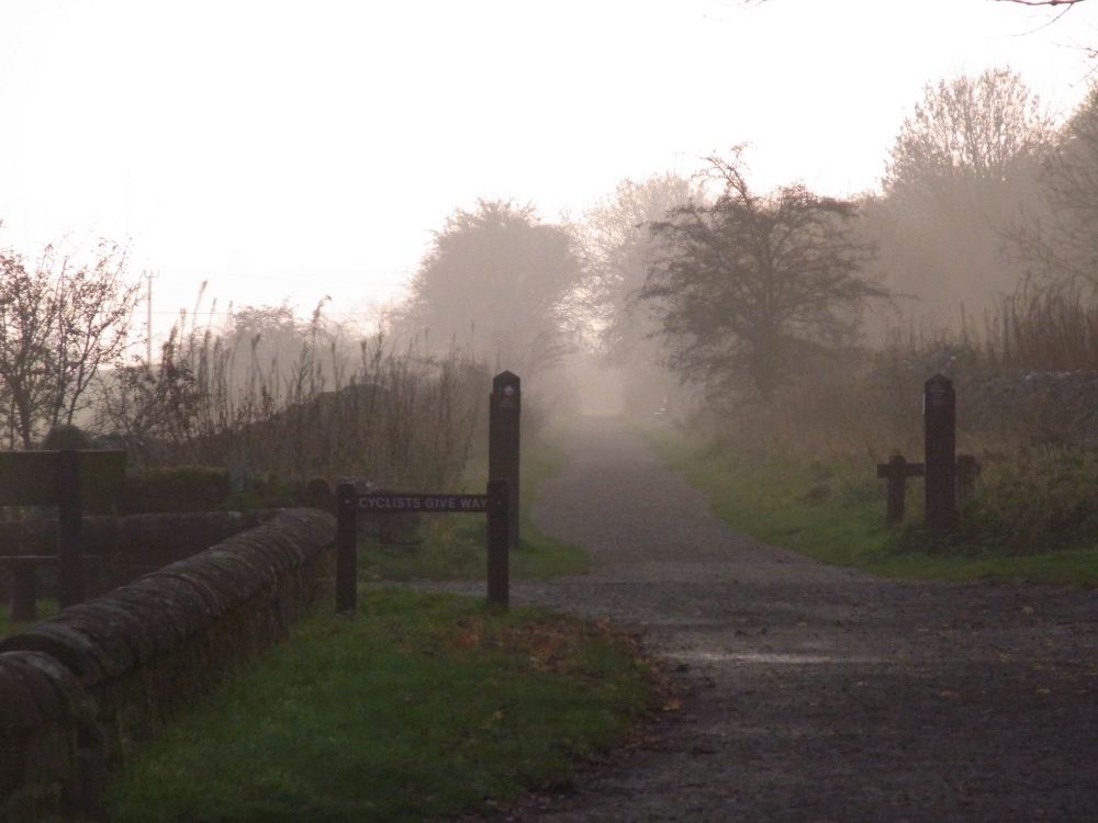 Photograph of Misty Middleton Top