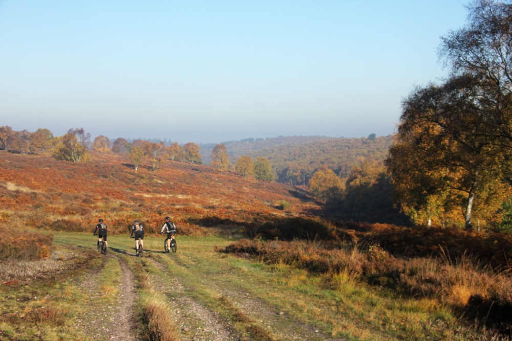 Mountain Biking on Cannock Chase