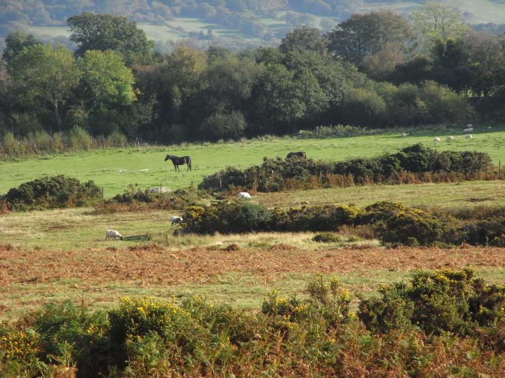 Near to Brecon Beacons Visitor Centre