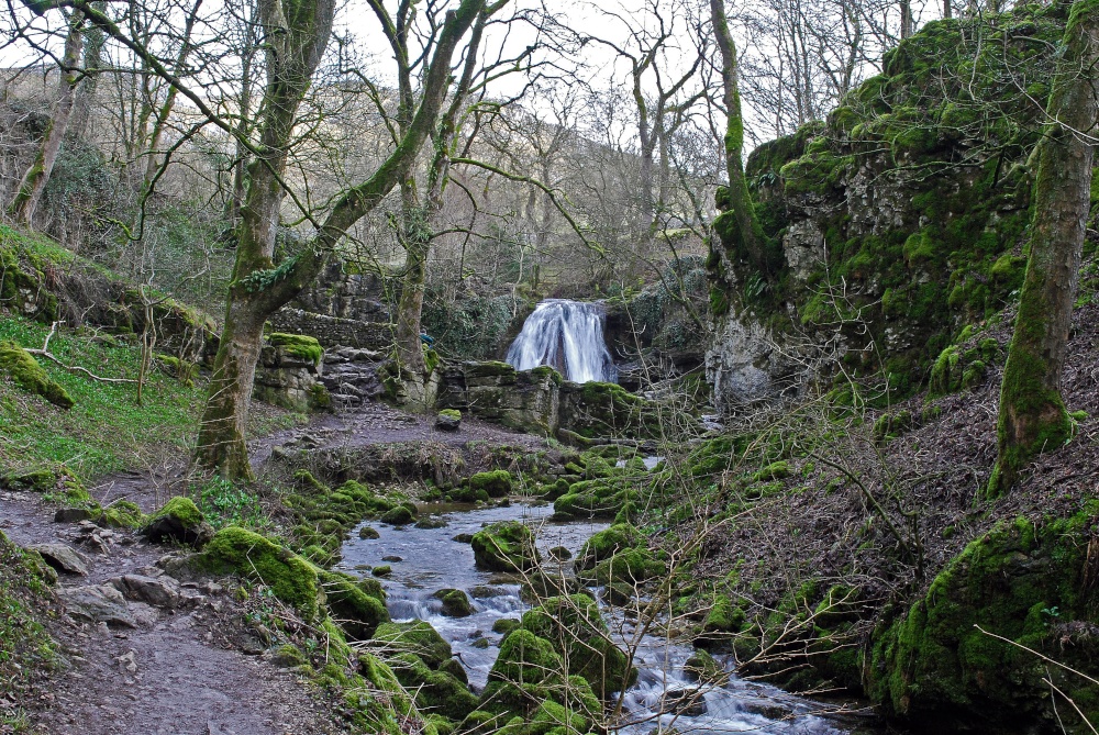 Magical photo by Ray Hutcheon