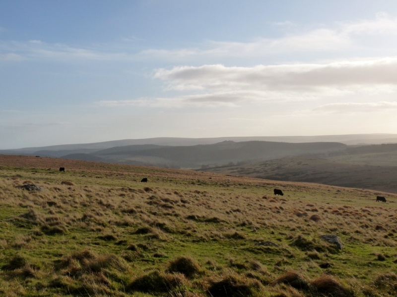 Dartmoor