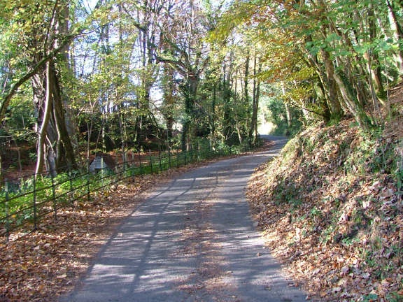 Country lane in Newbridge