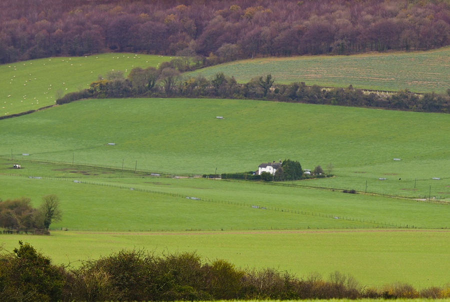 West Meon, Hampshire