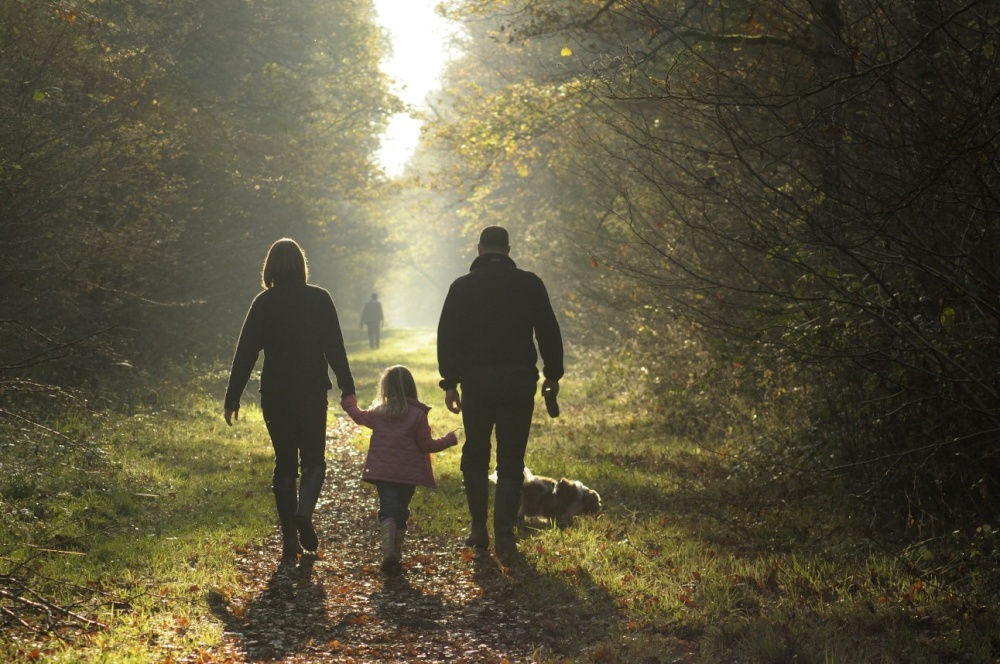 Photograph of Hazelborough Woods, near Silverstone, Northants.