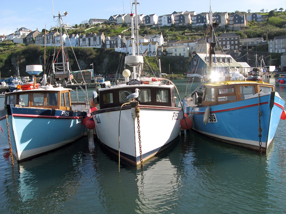 Mevagissey Harbour