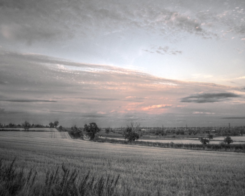 Autumn evening at Botolph Claydon, Bucks