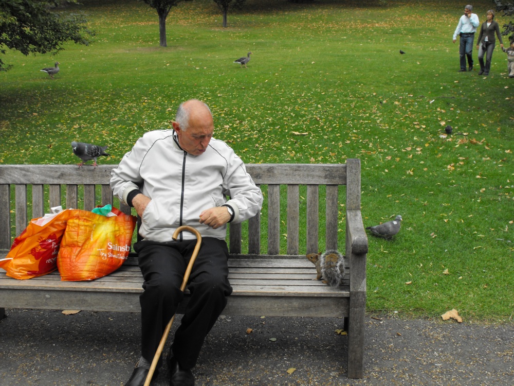 The old man and the squirrel.