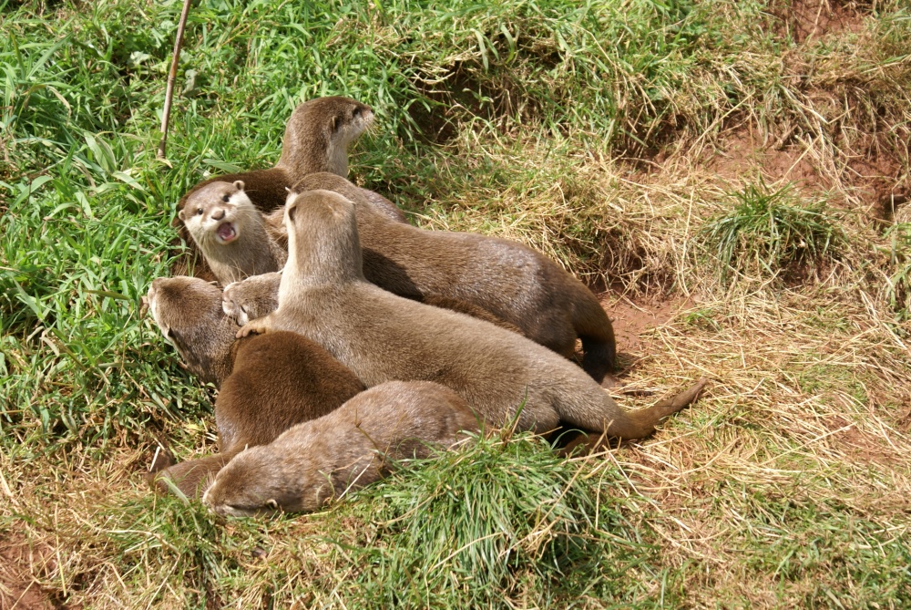 Photograph of Hey, what ya lookin' at