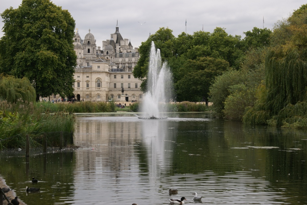 The country in the city