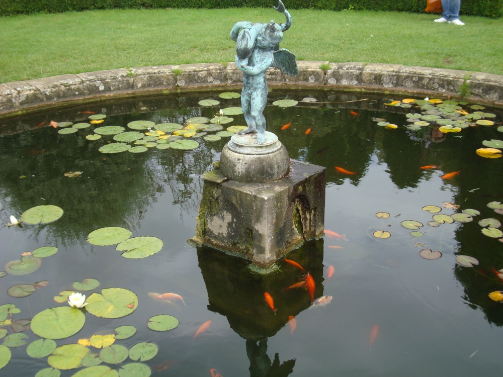 Ornamental pond at the Rose Garden