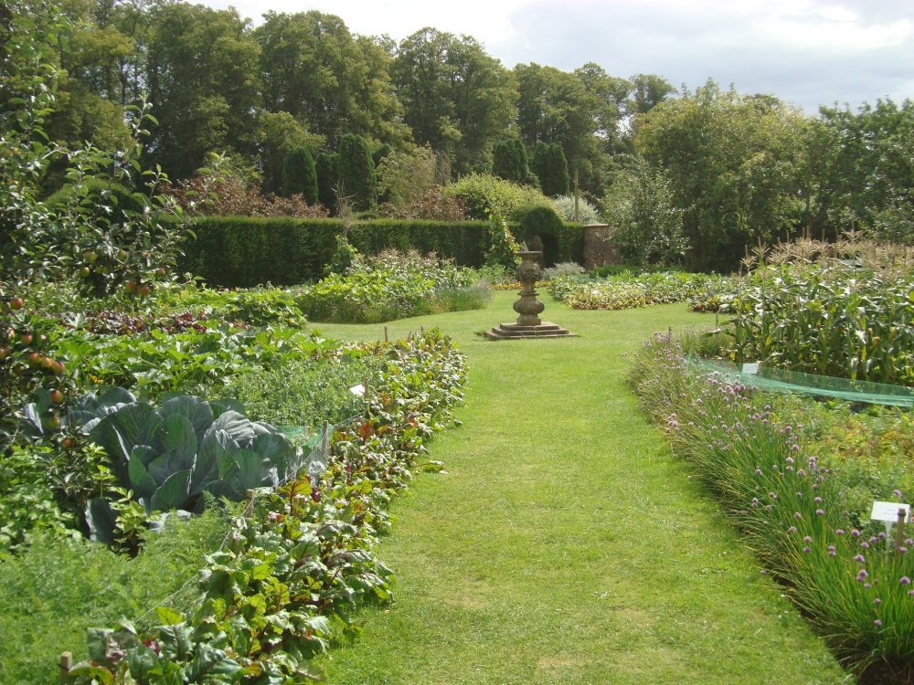Ornamental Vegetable Garden