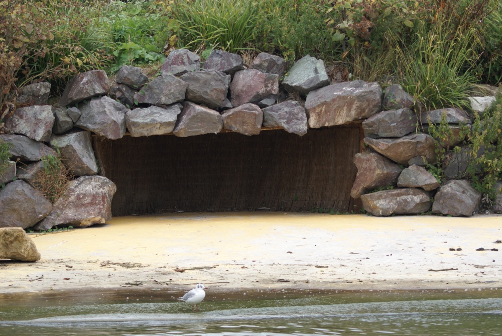 Who lives in a house like this