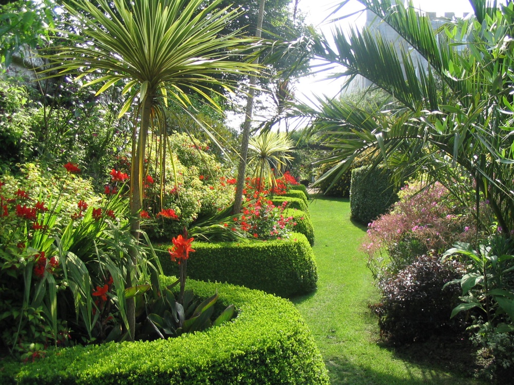 Sub tropical walled garden photo by Tregenna Castle