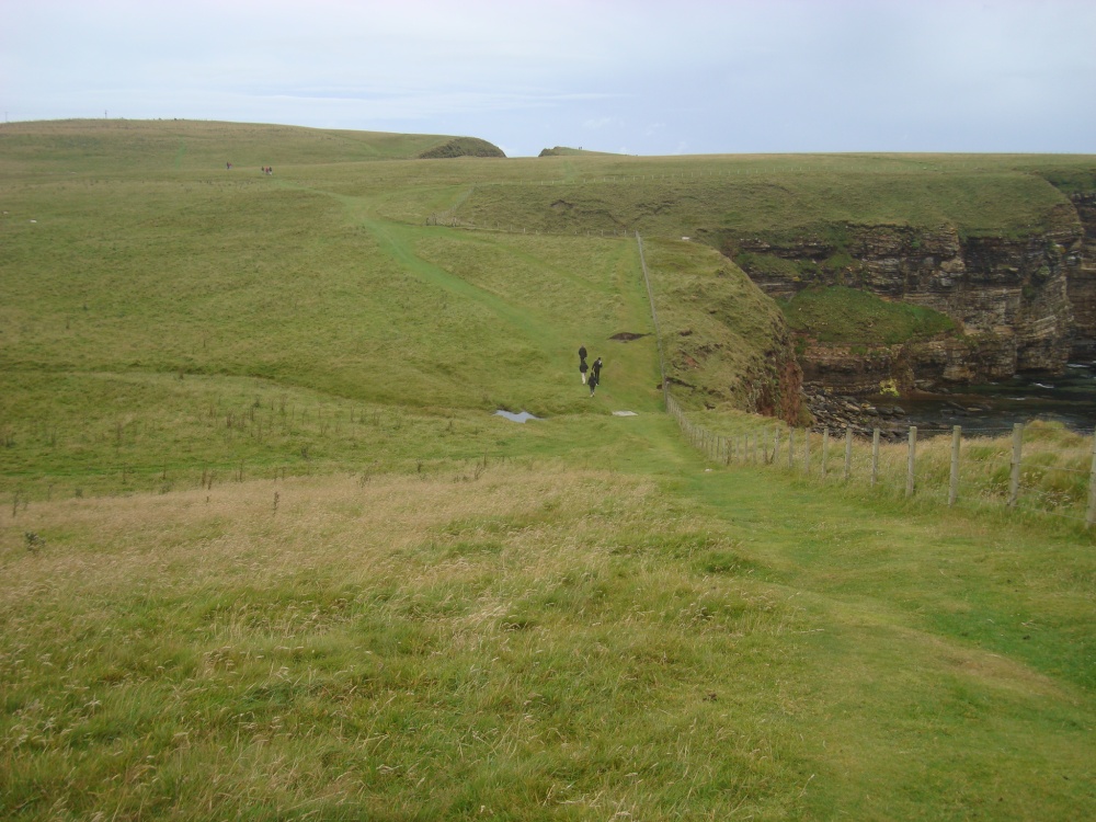 Surrounding landscape photo by Victor Naumenko