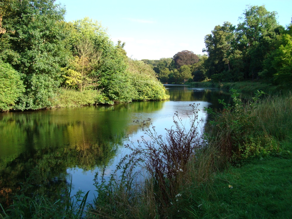 Hatfield Park and the River Lee