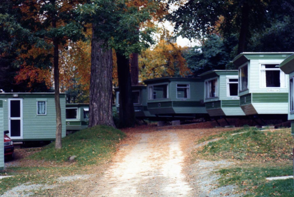 Holidays in the woods