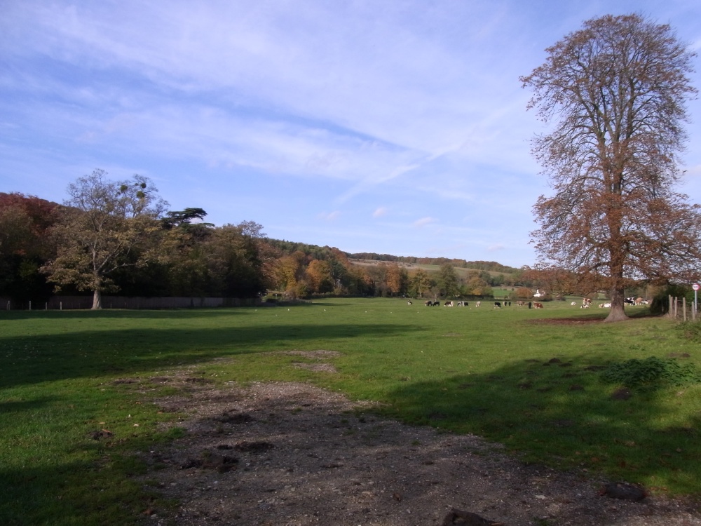 Photograph of Open fields around Hambleden