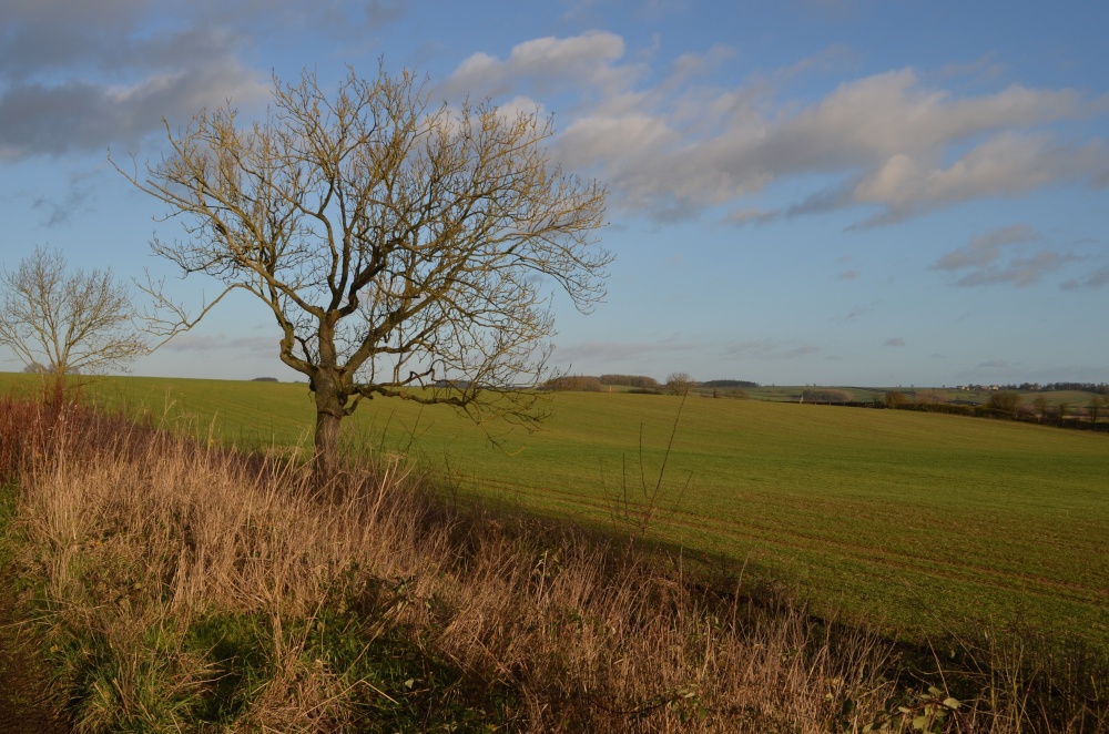 Photograph of View near Slawston