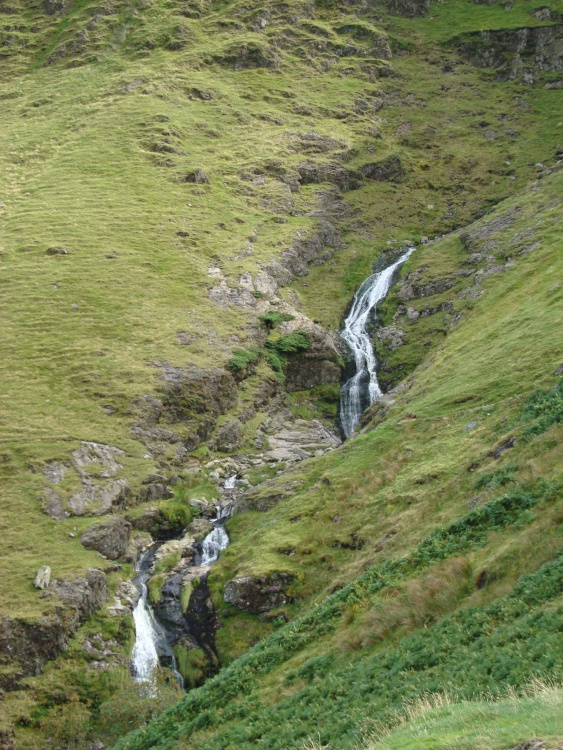 The middle section of Moss Force